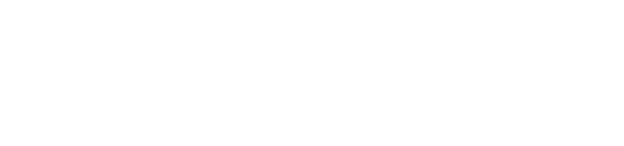 303 SPOT
